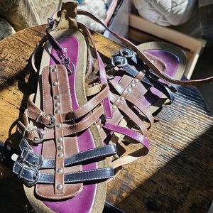 Brown and Blue Gladiator Syy